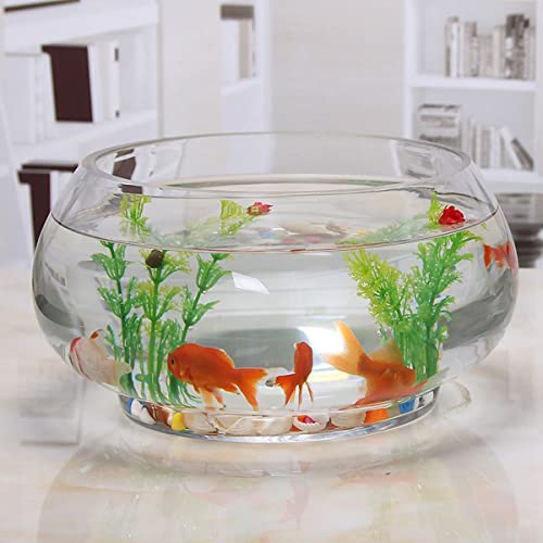 丸型金魚鉢 ガラス容器 花器 ミニ魚タンク水槽花瓶丸型 透明 水栽培 観葉植物 花器水族館リビングルームデスクトップタートルタンク大容量 おしゃれ 植木鉢 厚さを増す 水族館 装飾的な 観葉植物(30cm,金魚鉢)