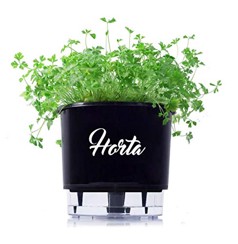 Vaso Autoirrigável Pequeno N02 Raiz Preto 12cm x 11cm Horta