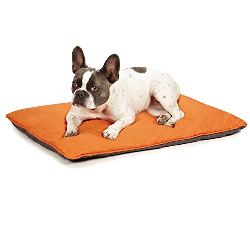 Insect Shield Reversible Flea & Tick Protection Dog Bed, Medium #TOP3