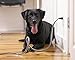 PETCORDS Black Dog and Cat Cord Protector- Protects Your Pets from Chewing Through Insulated Cables up to 20ft, Unscented, Odorless