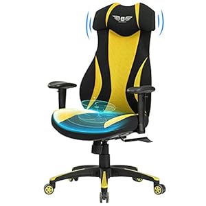 Acethrone-Gaming-Chair-Racing-Office-Computer-Ergonomic-Video-Game-Chair-Backrest-with-Lumbar-Pillow-and-Headrest-Mobility-Height-and-Reclining-Device-High-Back-Chair-for-Adults - Vita Supply