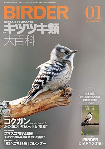 無料電子書籍 pdf BIRDER(バーダー)2019年1月号 キツツキ類 大百科【特別付録 BIRDER DIARY 2019】付 バイ