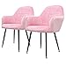 ECD Germany Set 2 x Sedia da Pranzo Rosa Poltrone Imbottite in Velluto - Stile Design Retro Vintage Scandinavo - Gambe Piedini in Metallo Regolabili - per Sala da Pranzo Soggiorno Cucina o Ufficio