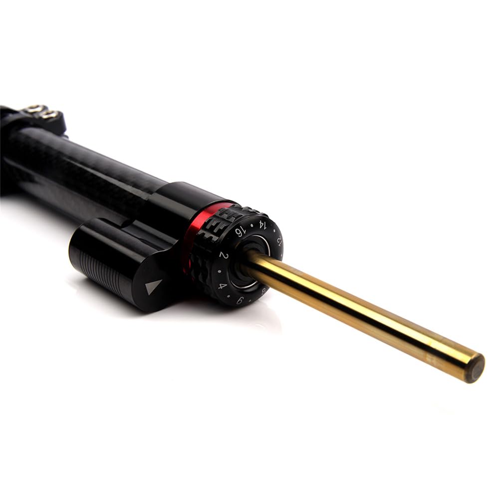 Ammortizzatore Sterzo Moto Universale, Ammortizzatori di Sterzo Stabilizzatore Alluminio CNC Moto, per Moto in lega di Alluminio (Fibre di Carbonio, 10")