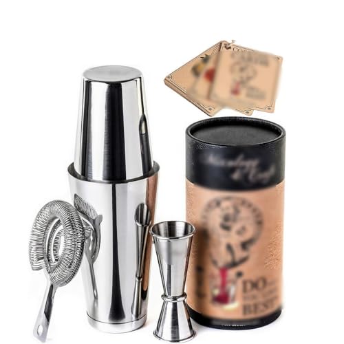 Set Coctelera Boston Acero Inoxidable 5 Piezas