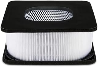 Avalla R-90 Air Purifier Long Life True HEPA Active Carbon Filter