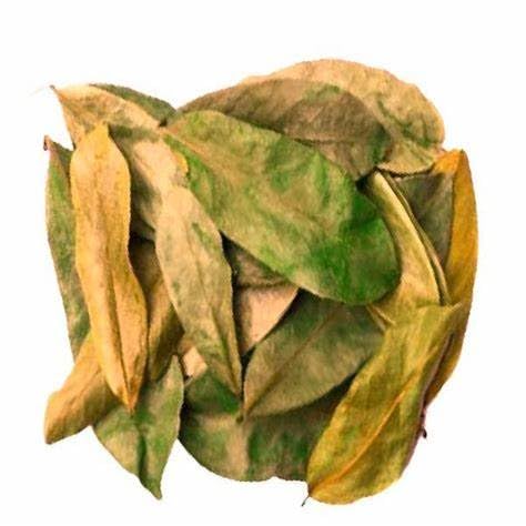 Miniatura 5 de Graviola de hojas de guanábana - Hojas de té de hierbas secas premium  Annona Muricata  Infusión de bienestar natural