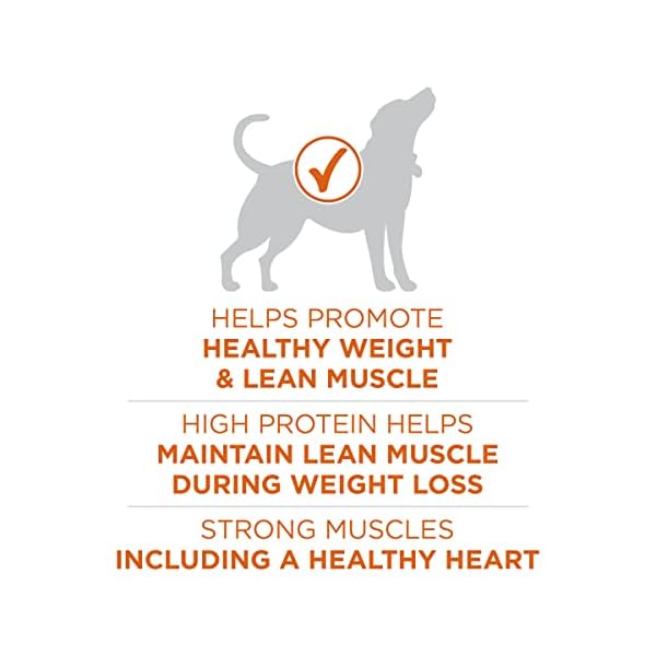 Purina ONE Weight Management, Natural Dry Dog Food, SmartBlend Healthy Weight Formula – 16.5 lb. Bag Purina ONE Weight Management, Natural Dry Dog Food, SmartBlend Healthy Weight Formula – 16.5 lb. Bag