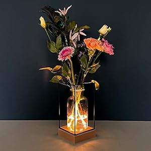 Gadgy Vaasje met verlichting | decoratieve vaas met Ledverlichting | Houten basis en metalen Frame | Industrieel Scandinavisch design | 22,5 x 10,8 cm.