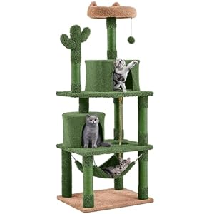 Yaheetech Cactus Cat Tree for Indoor Cats, 62in Cat Tower with Scratching Posts & Hammock & Dangling Ball, Large Cat Condo Multi-Level Activity Center, Cat Furniture