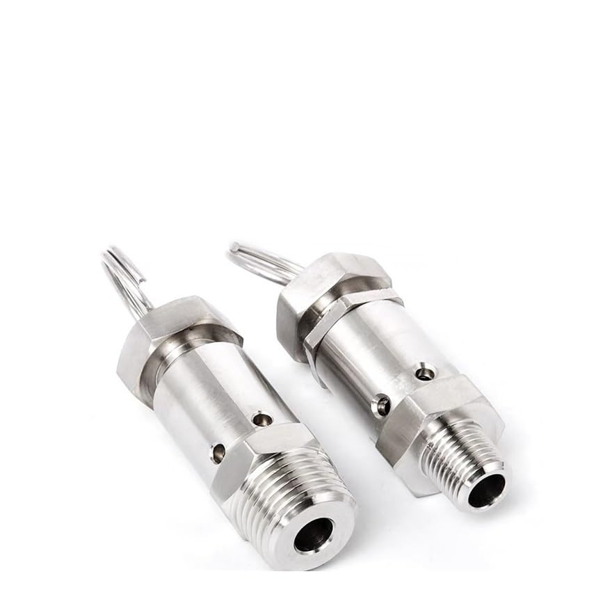 Soupape SS304 NPT mâle décompression 0,5-10 Bar en acier inoxydable