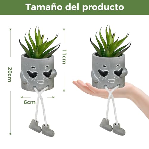 Review de Comprar suculentas los 10 mejores. 40 Imagen adicional