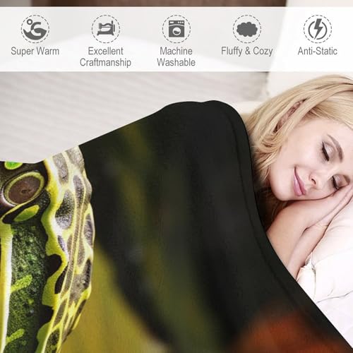 Couverture jeté flannel motif grenouille 1 pièce très doux et chaud pour chaise et sofa
