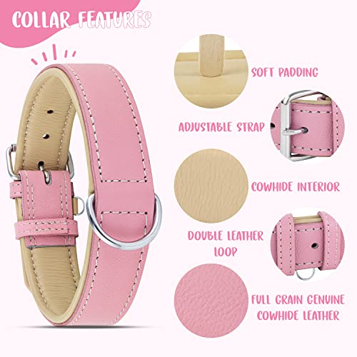 Riparo Hundehalsband, gepolstert, echtes Leder, verstellbar, strapazierfähig (L: 3,8CM Breit für 43,2CM - 53,3CM Hals, Rosa)