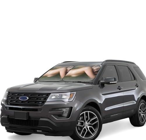  (11) ԗpTVF[h ToCU[ 悯 O΍ J[TVF[h lGp ԗpi ܏ ֗ Ռ fM z4t