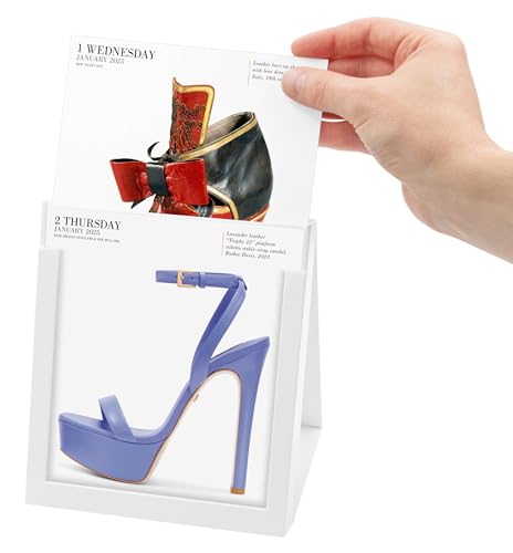 Shoes Page-A-Day Gallery Calendar 2025: Everyday a New Pair to Indulge the Shoe Lover's Obsession - Image 3