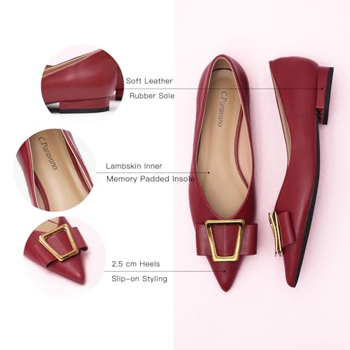 C.Paravano Women’s Pointed Toe Ballet Flats with Metal Buckle | Slip-On Dressy Flats for Women | Comfortable Work Flats | Office, Party, Wedding, Casual Wear Lightweight Women’s Flat Shoes4