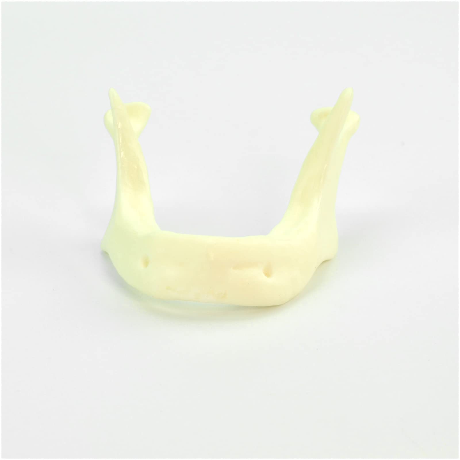 Model do ćwiczeń implantów jamy ustnej, model do pielęgnacji jamy ustnej, model do nauczania zębów dentystycznych - do praktyki bionicznej, nauczania praktycznego modelu egzaminacyjnego, ekspozycji