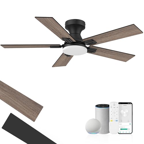 42 Inch Smart Ceiling Fan