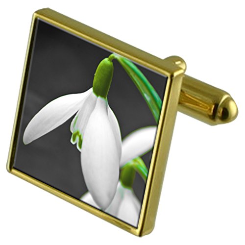Select Gifts APS339OGOLD Select Gifts APS339OGOLD