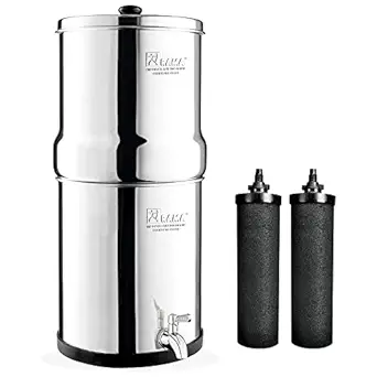 RAMA Gravity Water Filter, 16 Litre Storage (32 Litre Total Capacity) 304 High Grade Stainless Steel Water Purifier for Home, 10 Year Manufacturer Warranty with 6 Carbon Candle and Stainless Steel Tap