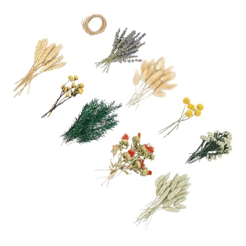 Ramos de flores secas Phragmites para decoración miniatura 1