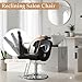 Felivine Reclining Salon Barber Chair for Hair Stylist, Professional Hair Stylist Chairs with Heavy Duty Hydraulic Pump, All Purpose Styling Hairdresser Braiding Shampoo Chair for Spa Home Euipment