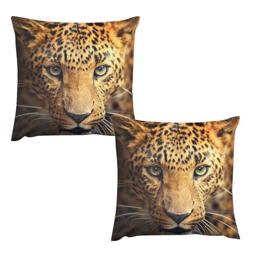 NbVJo[ qE ^ ^ Jo[ 2Zbg \t@w Jo[ zcJo[ Jo[ w  Gǂ R hL z y 􂦂 _炩 lGʗp CeA ` 