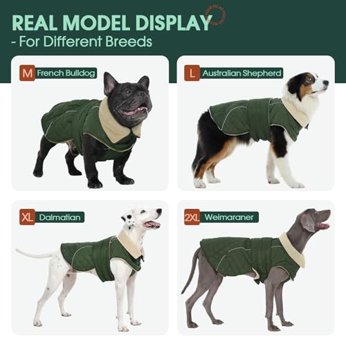 Kuoser Hundejacke Hundemantel für Mittelgroße Große Hunde, Winterjacke Hund Wasserdicht Warm, Verstellbarer Hundemantel mit Fleece und Reißverschluss-Leinenöffnung, L Grün