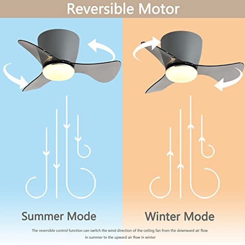 Gesum Ceiling Fan With Lights Remote Control, 22 Lnch Small Modern Indoor Ceiling Fan With 3 Reversible Blades, Low Profile Ceiling Fan For Kitchen Bedroom Dining Room, 3 Colors, 6 Speeds, Gray #TOP4