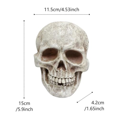 Decoración de calavera de Halloween realista para biblioteca de entrada 6