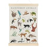 Nrleey Rainforest Animals Wall Art - Educational Poster Hanger Frame, Nursery Decor, 12x16 Inches