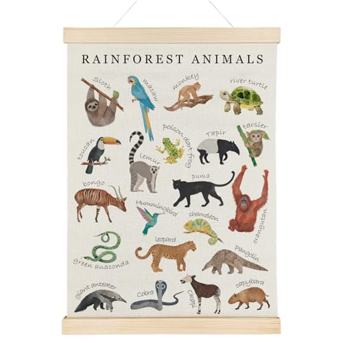 Nrleey Rainforest Animals Wall Art - Educational Poster Hanger Frame, Nursery Decor, 12x16 Inches
