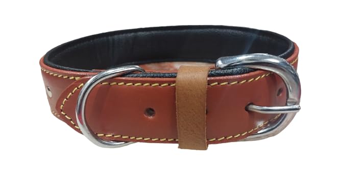 Image of Dog Collar Genuine Leather Belts Heavy Duty Padded Adjustable Small Medium Large with Studded, 49 cm x 1.25 inch, tan