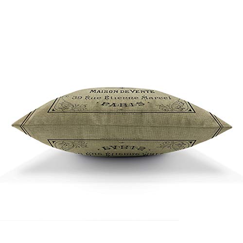 Aoyego Vintage French Perfume Paris France Chic Throw Pillow Cover Paris France Blanc De Perles Liquide Perfume Simple Chic Pillow Case 18X18 Inch Decorative Men Women Boy Girl Room Cushion Cover #TOP4