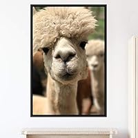 Framed Canvas Wall Art Llama Animals Camels Expressive Farmhouse/Country Living Room Multicolor Photography - 16x24 inches