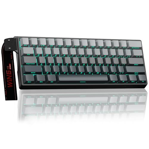 Image of Aula WIN60 HE - 60% Mechanical Gaming Keyboard Wired, Hall Effect Magnetic Switch Hot Swappable,8000 Hz Polling Rate, RGB Keyboard 60 Percent Compact Design for PC (Gradient Gray)