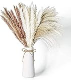 🌾【Bricolaje Divertido】Puede cortar la longitud de las flores secas de acuerdo con sus preferencias. Es la mejor opción para arreglos florales. Si quieres la colorida hierba de pampa, puedes hacer flores con tus amigos, lo que será muy interesante.