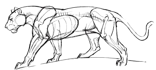 The Art of Animal Drawing: Construction, Action Analysis, Caricature