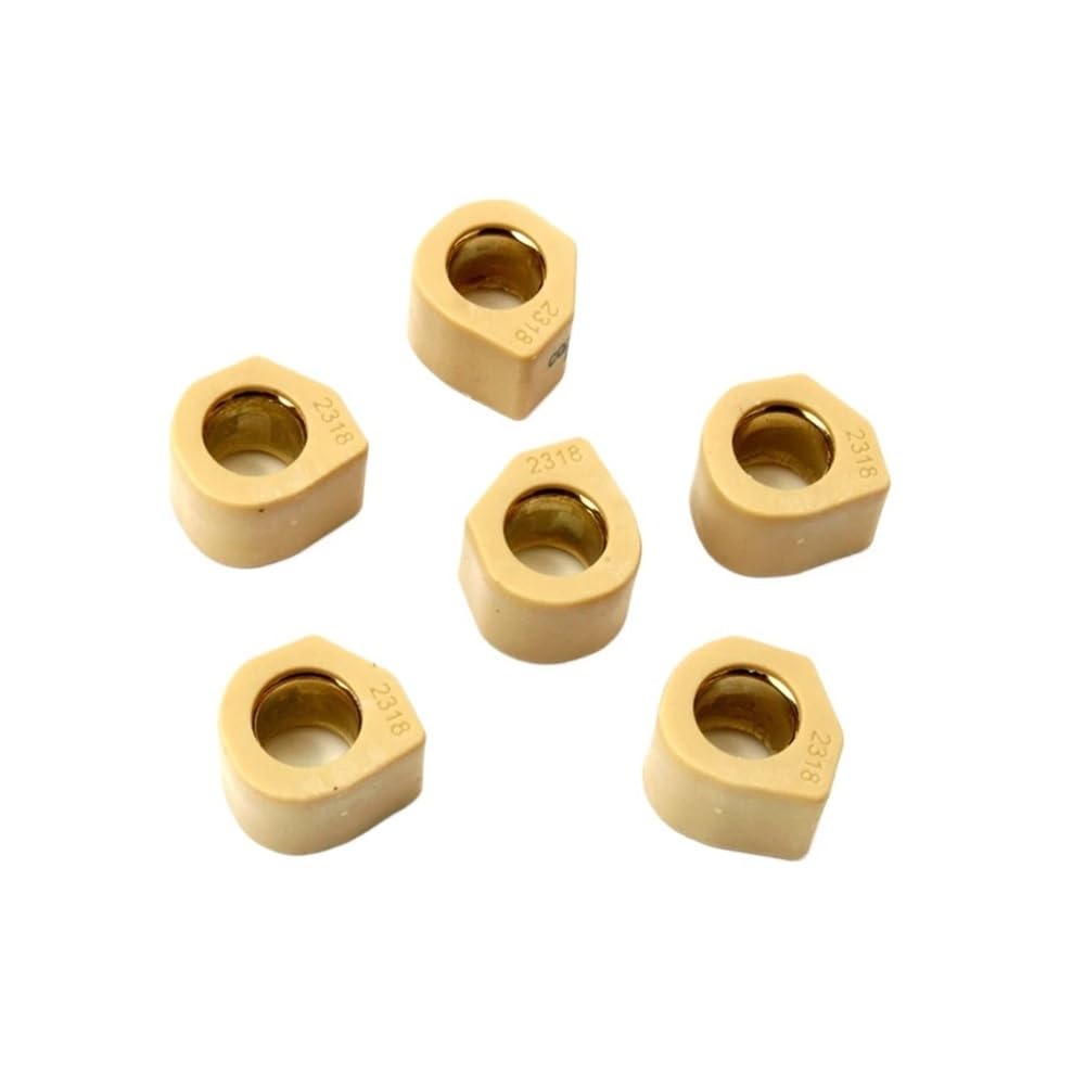 Poids de variateur 23 x 18 mm 19,2 g pour moteur de scooter X9 250 CC