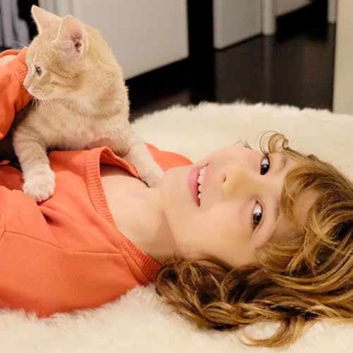 Dio ci ama, anche se siamo cattivi. Omelia per il Santo Natale - 25 dicembre 2025 copertina