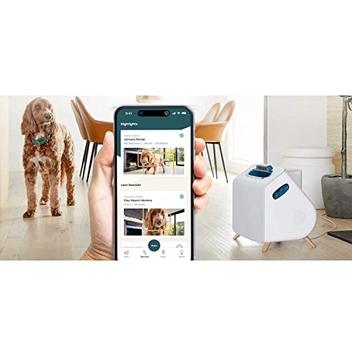 🤖🗳️ AI toma el escenario pol&iacute;tico: c&oacute;mo los deepfakes est&aacute;n cambiando las elecciones.