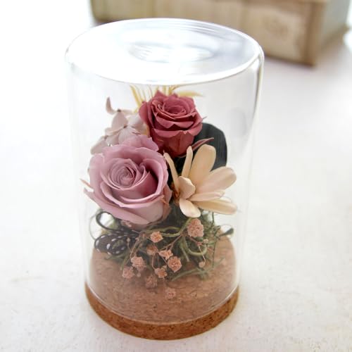 vU[uht[ KXh[ pillar ~j Mtg a ̓   킢 v`Mtg KX  җ ËH  P Ď  j  q @ ([sN)