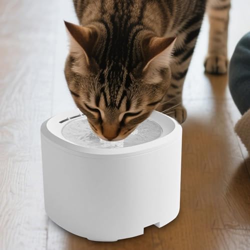 Fuente para gatos silenciosa de 3 litros con dispensador automático y filtro 4