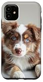Cuccioli di cane Aussie. Custodia per iPhone 11 Aussie Cucciolo Australian Shepherd