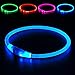 BSeen LED Dog Collar, USB Rechargeable, glowing pet dog collar for night safety, fashion light up collar for small medium large dogs (blue)