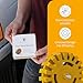 Whizzy Wheel 4 Inch Decal Remover Eraser Wheel - Easily Remove Car Stickers, Adhesive, Glass, Metal, Emblem, Vinyl and Pinstripes - Rubber Wheel with Drill Adapter for Quick and No Scratch Application