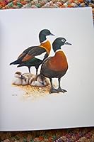 The Art Of Jeremy Boot - A Collection Of Twenty Eight Colour Paintings 0646560573 Book Cover