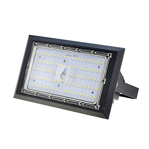 Outdoor Security Lights 30W, LED Flood Light IP65 Waterproof Spotlight Super Bright Floodlight for Court Billboard Workshop (Color : Cool White)