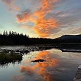 Machine Made For Living